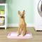 Show in main carousel: IRIS Dog & Puppy Training Pad Holder, Pink slide 3 of 9