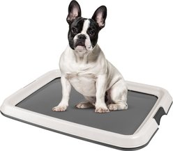 IRIS USA Non-skid Dog Plastic Training Pad Holder, Gray, Medium