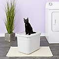 Clevercat Top-Entry Litter Box