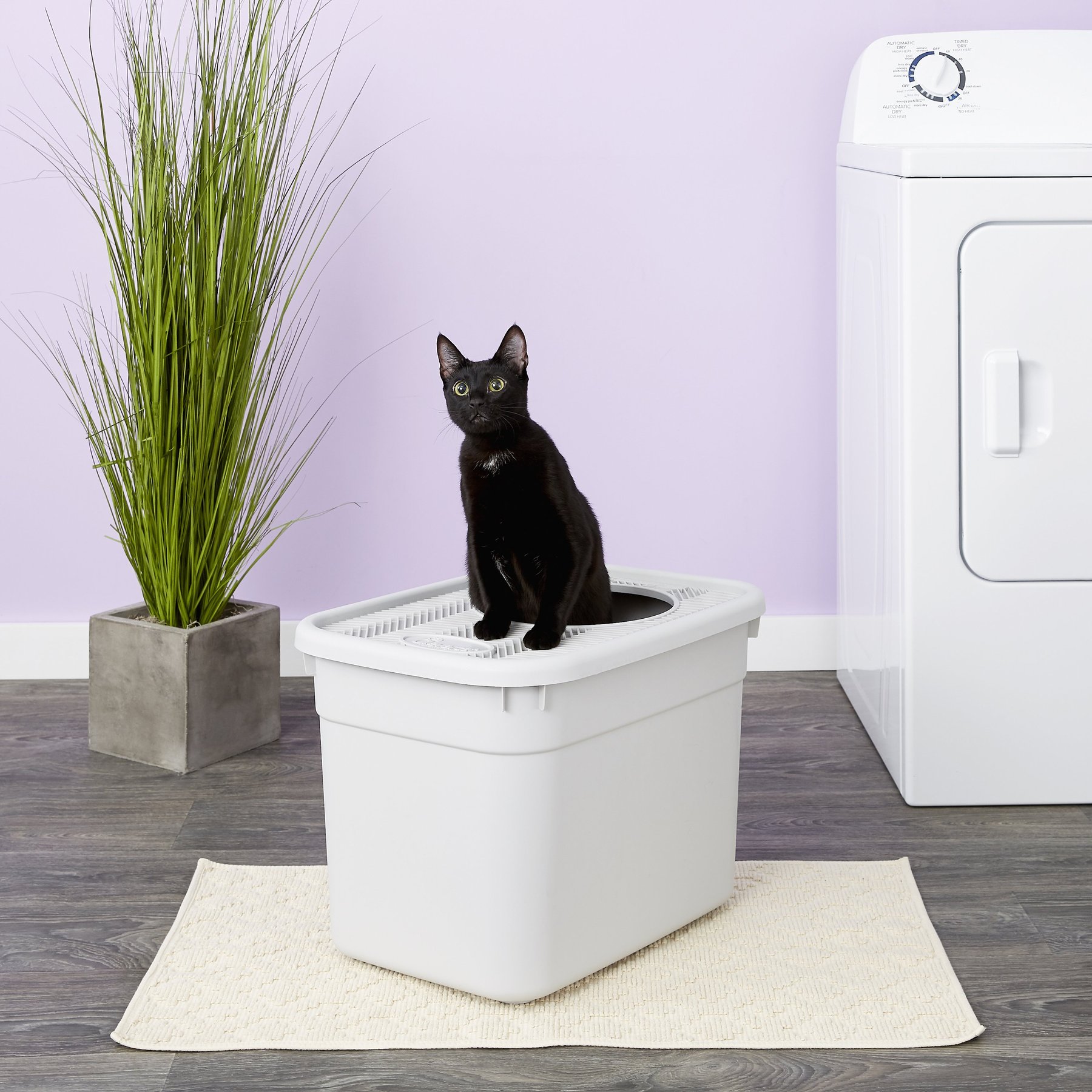 Clevercat litter shop box liners