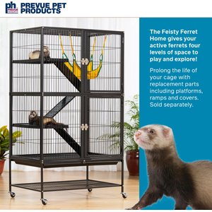 Prevue Pet Products Feisty Ferret Home, Black Hammertone