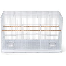 Bird Cages & Accessories: Small & Large Bird Cages (Free Shipping) | Chewy