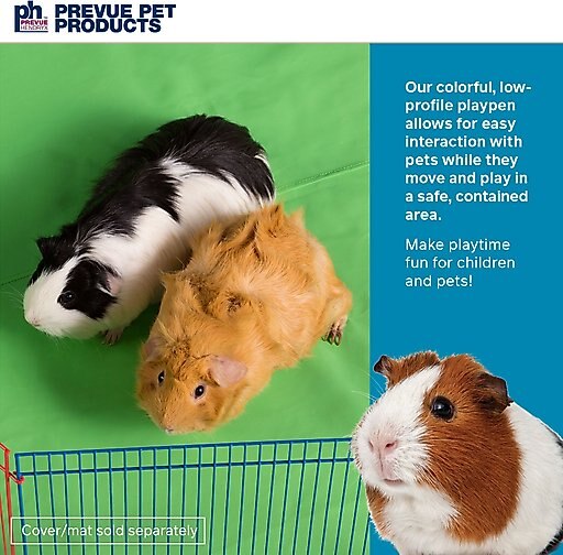 Prevue Pet Products Multi-Color Small Animal Playpen, 36-in