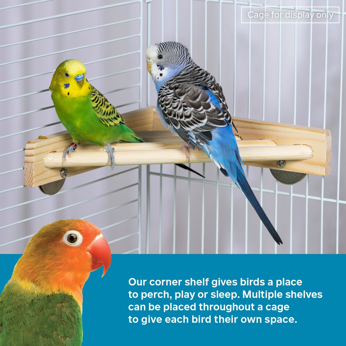 Bird cage shop corner shelf