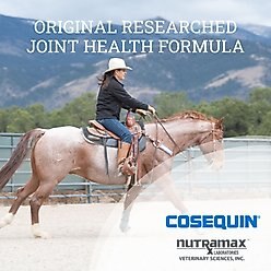Nutramax Cosequin Powder with Glucosamine & Chondroitin Original Joint Health Supplement for Horses, .62-lb tub slide 2 of 4