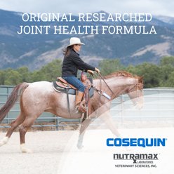 Nutramax Cosequin Powder with Glucosamine & Chondroitin Original Joint Health Supplement for Horses, 1.54-lb tub slide 2 of 4