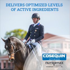 Nutramax Cosequin Optimized with MSM Joint Health Apple Flavor Powder Horse Supplement, 1400 Grams slide 2 of 4