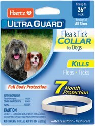 Hartz UltraGuard Flea & Tick Collar for Dogs, up to 26" Neck, 1 Collar (7-mos. supply)