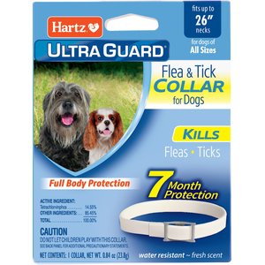 Hartz UltraGuard Flea & Tick Collar for Dogs, up to 26" Neck, 1 Collar (7-mos. supply)