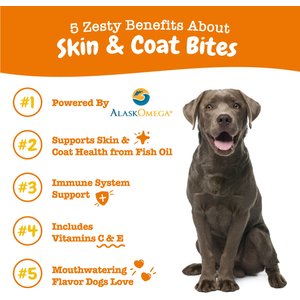 Best supplement for dog dry outlet skin