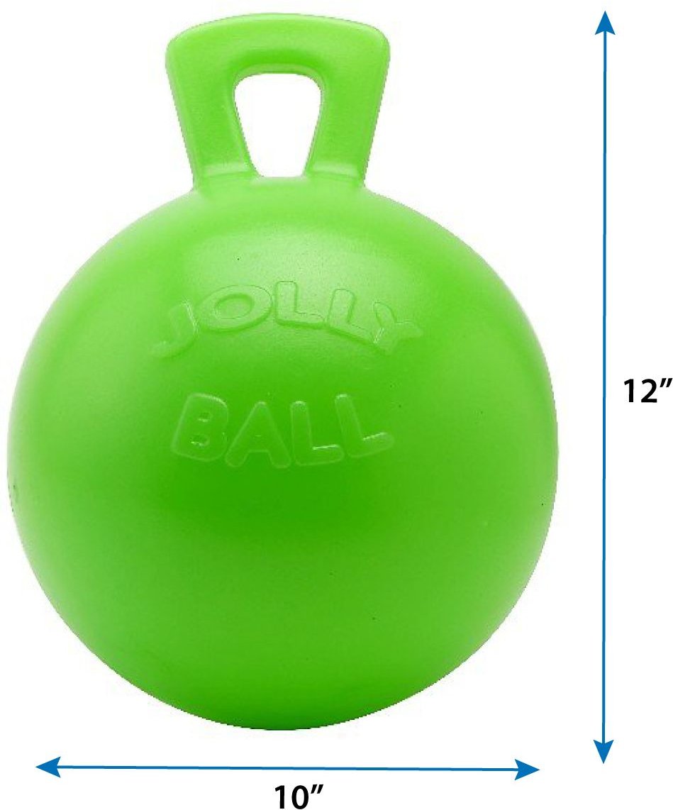 Jolly ball outlet horse toy