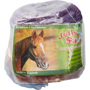 Horsemen's Pride All-Natural Himalayan Salt on a Rope Salt Block Horse Treat, 2.2-lb
