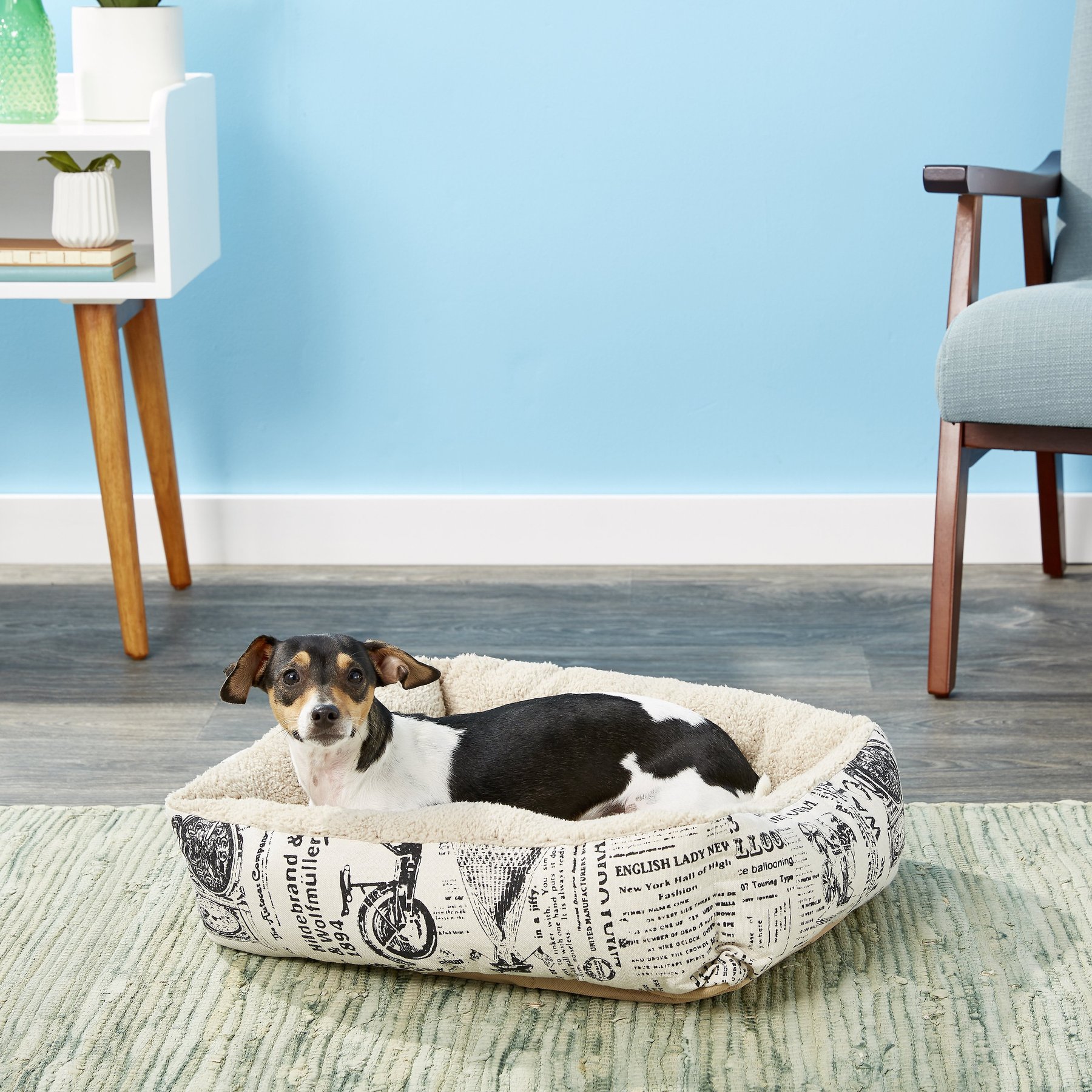 Paws & pals shop orthopedic pet bed