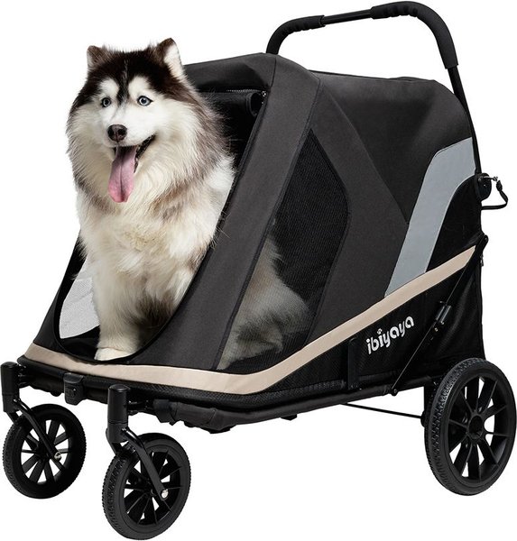 Pet stroller fashion chewy