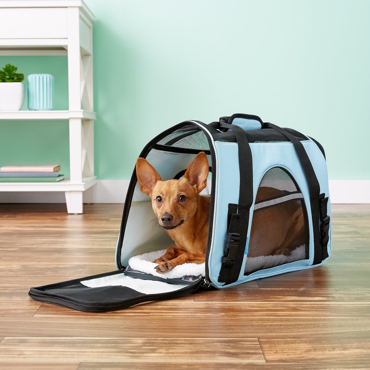 Paws and pals discount pet carrier large