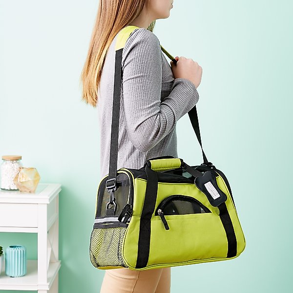 PAWS & PALS Dog & Cat Carrier Bag, Green, Small/Medium