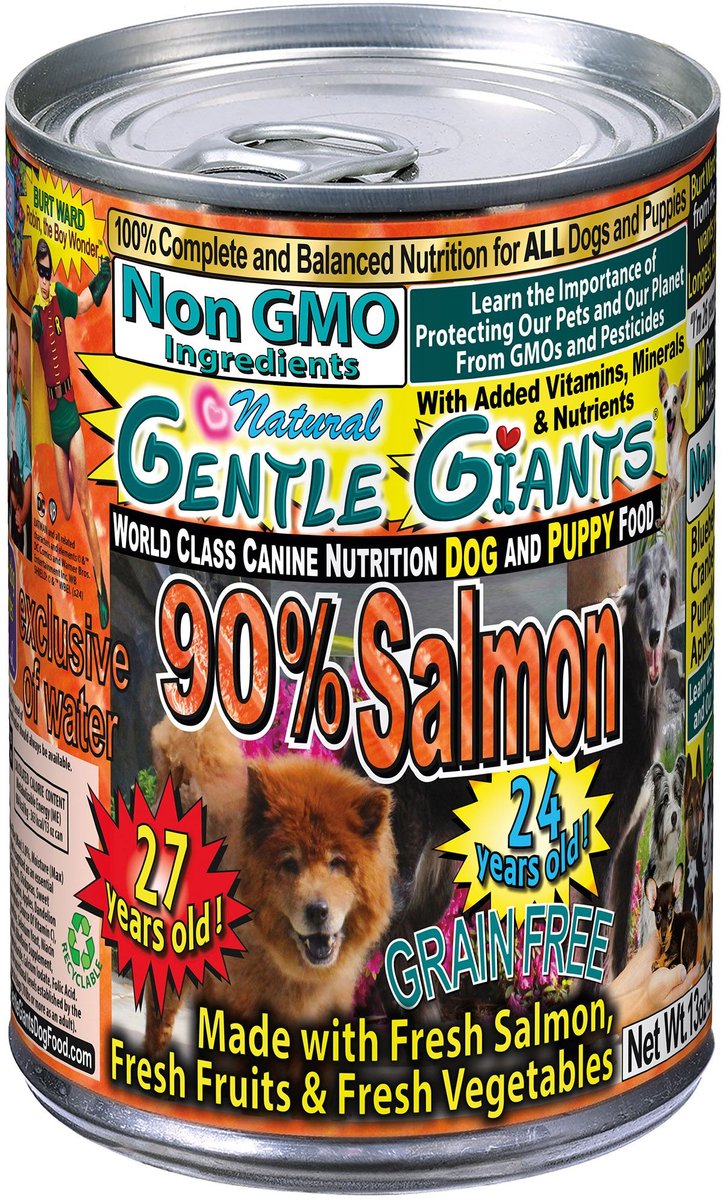 Salmon canned outlet dog food