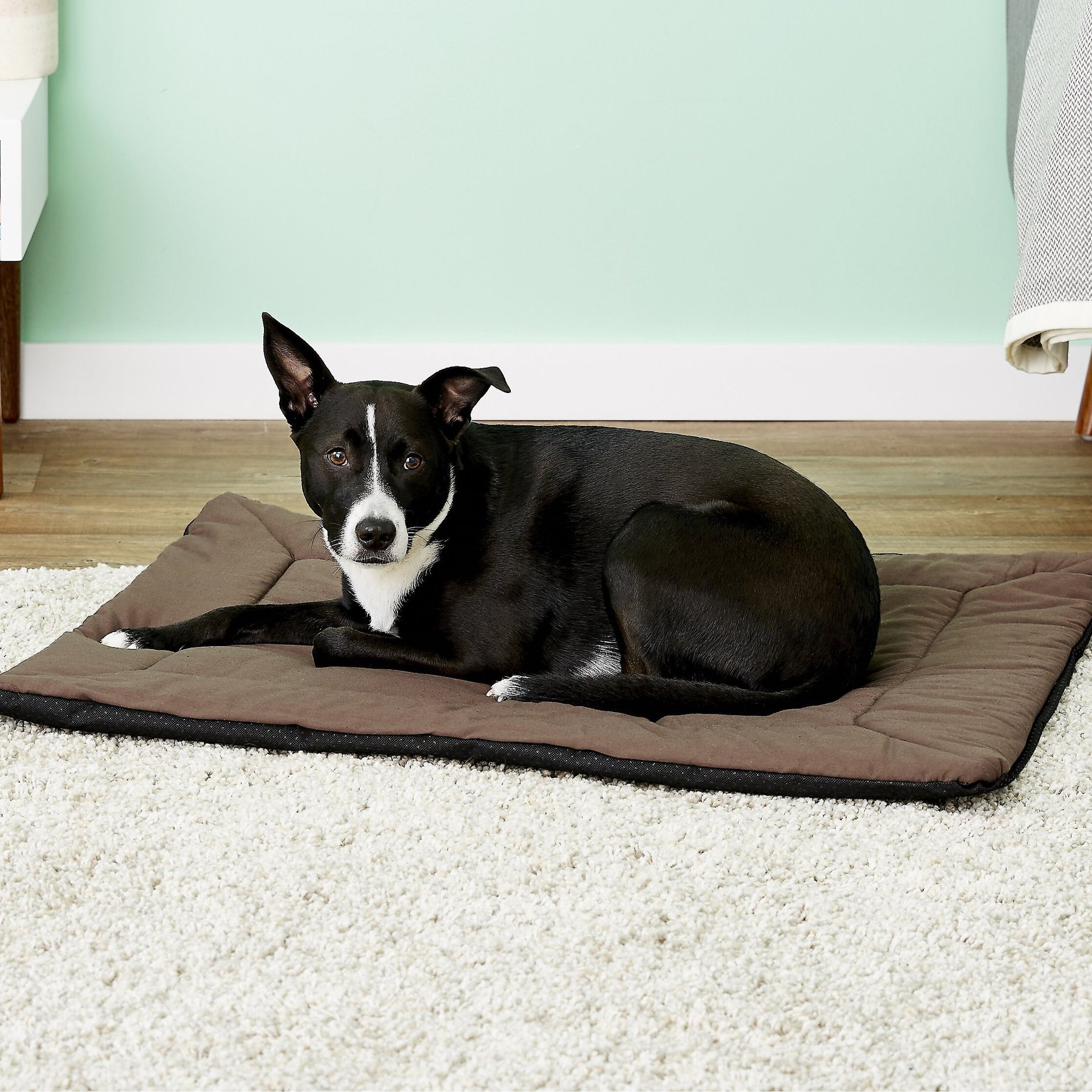  Allisandro Water-Proof Dog Bed, Washable Mat Crate