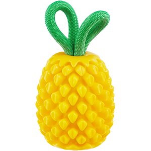Outward Hound Pineapple Treat Stuffer Dental Dog Chew Toy