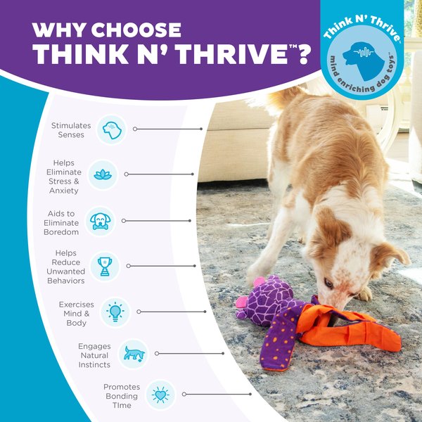 Nina Ottosson by Outward Hound Silly Legz Interactive Plush Puzzle Dog Toy