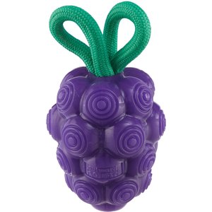 Outward Hound Dental Grapes Treat Stuffer Dental Dog Chew Toy