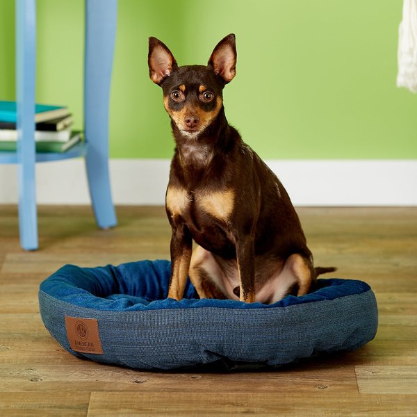 AMERICAN KENNEL CLUB AKC Casablanca Bolster Cat & Dog Bed, Blue
