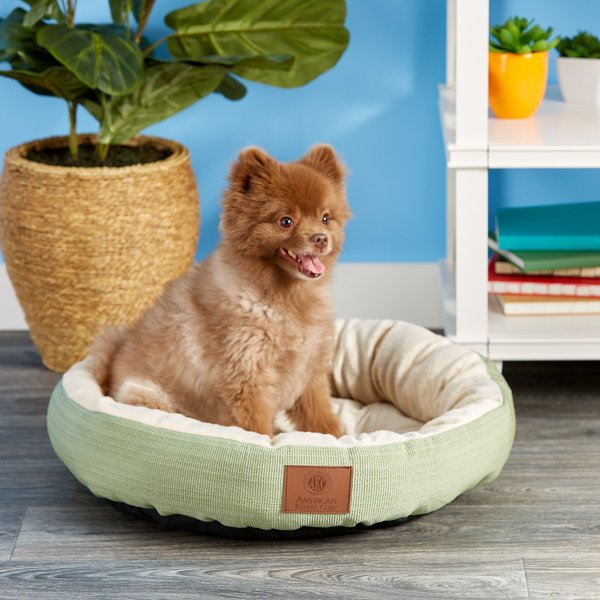 American Kennel Club AKC Casablanca Bolster Cat & Dog Bed, Sage slide 1 of 7