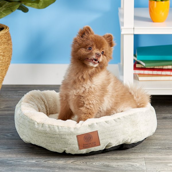 American Kennel Club AKC Casablanca Bolster Cat & Dog Bed, Green slide 1 of 6