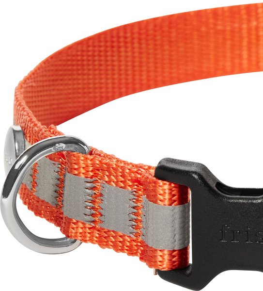 Frisco Nylon Reflective Dog Collar