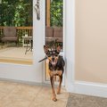 PetSafe Sliding 81-in Glass Pet Door, White, Medium