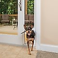 PetSafe 96-in Sliding Glass Pet Door, Medium