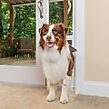 PetSafe 96-in Sliding Glass Pet Door, Large