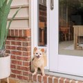 PetSafe Sliding Glass Pet Door, 2-Piece, Small