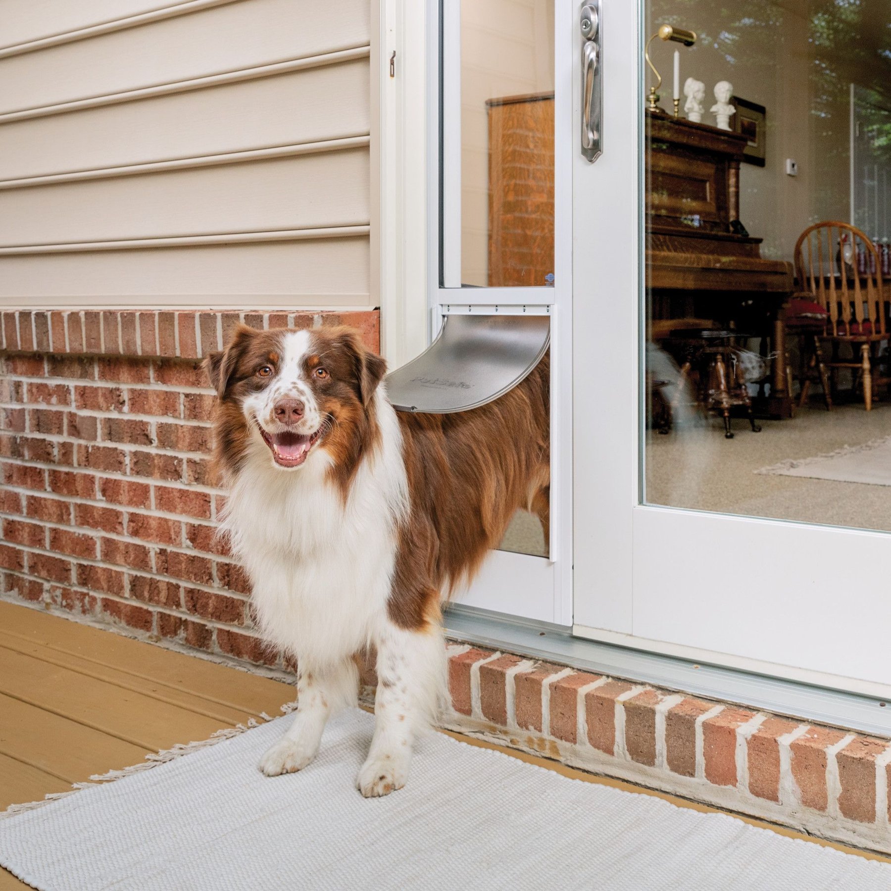 Best Pet Door for Sliding Screen Doors - Secure Patio Sliding Pet