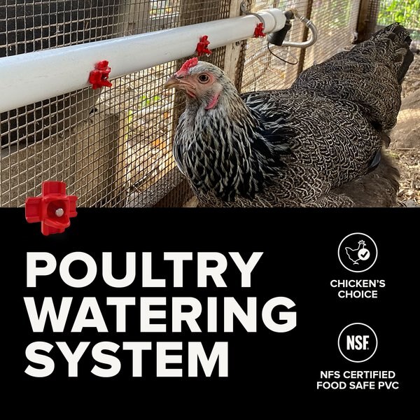 Carolina Coops Poultry Water System