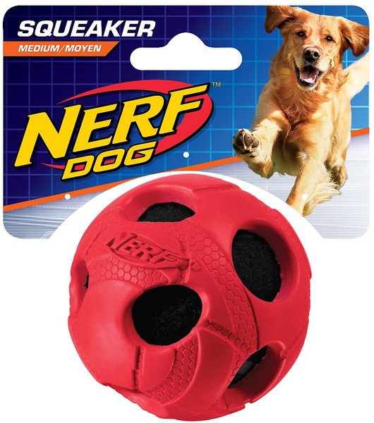 Nerf Dog Squeaker Ball Dog Toy, Medium slide 1 of 6
