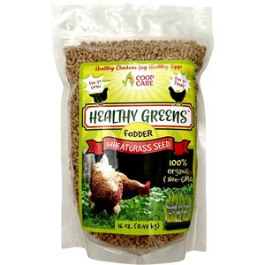 COOP CARE Healthy Greens Wheatgrass Fodder Chicken Feed, 16-oz pouch ...