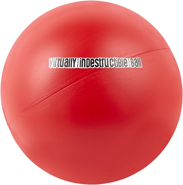 The Virtually Indestructible Ball Dog Toy, Color Varies, 10-in slide 1 of 6