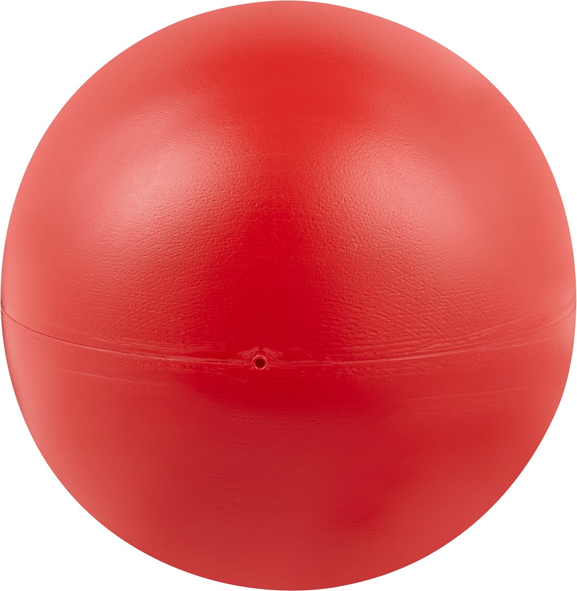 THE VIRTUALLY INDESTRUCTIBLE BALL Dog Toy, Color Varies, 10in