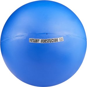 big hard plastic ball for dogs