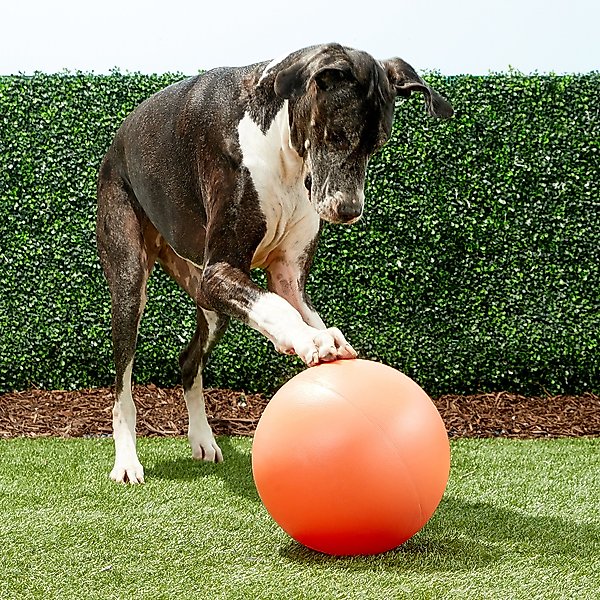 large blue ball