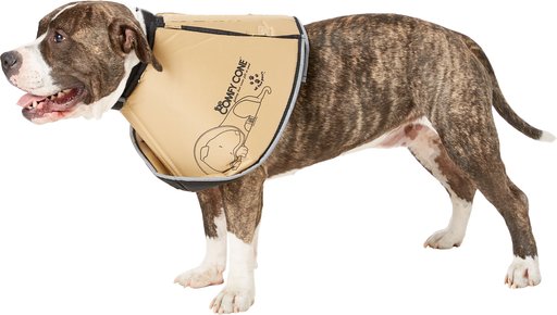 All Four Paws Comfy Cone E-Collar for Dogs & Cats, Tan, Large