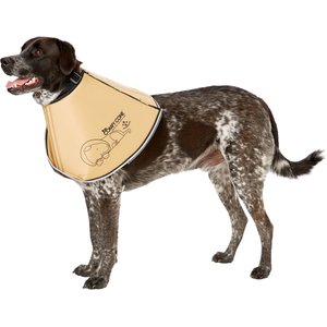 All Four Paws Comfy Cone E-Collar for Dogs & Cats, Tan, X-Large