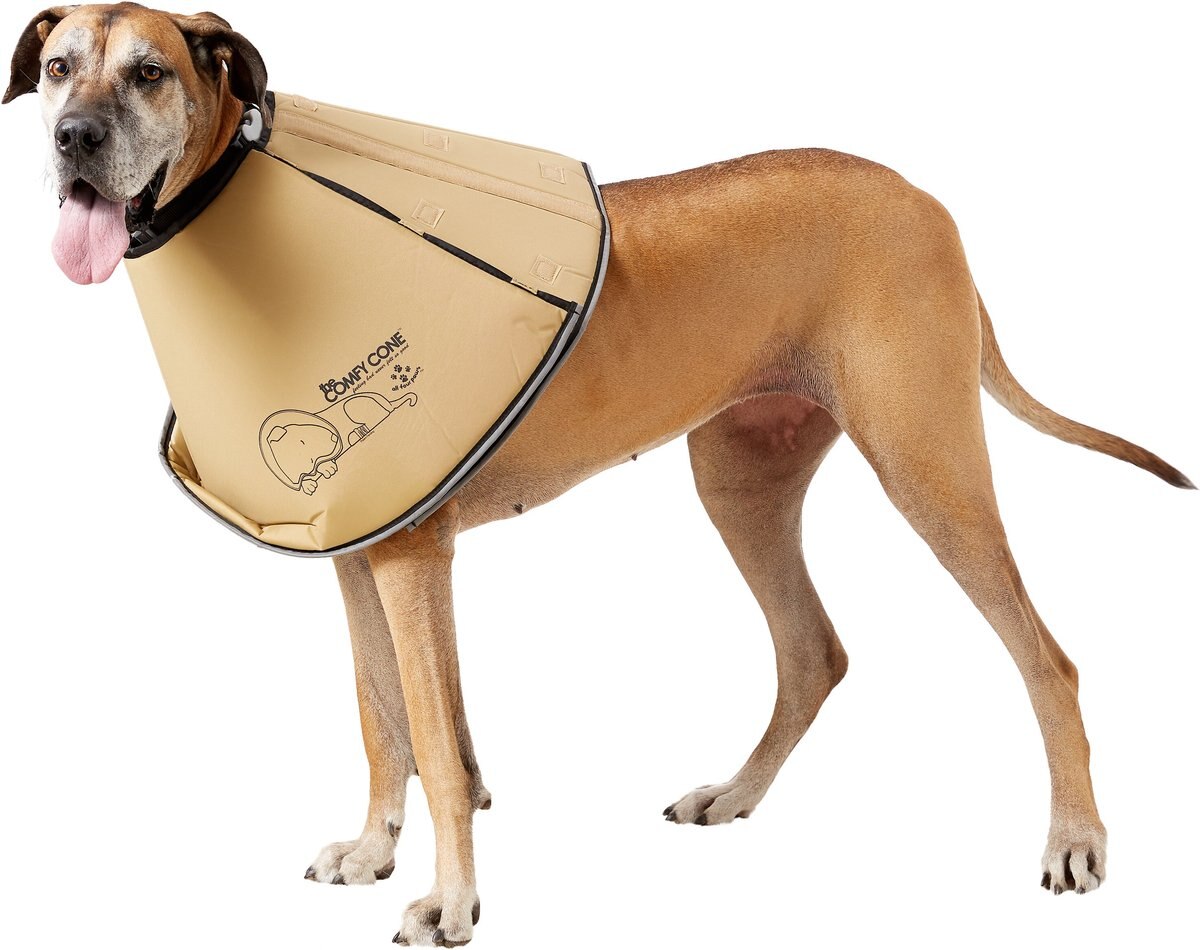 ALL FOUR PAWS Comfy Cone ECollar for Dogs & Cats, Tan, XXLarge