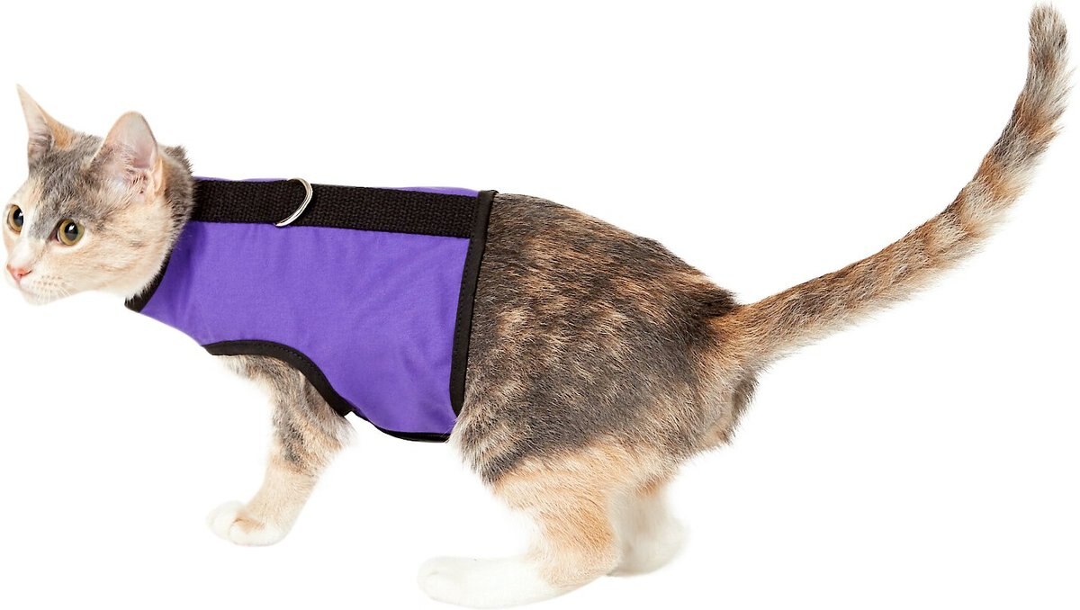 KITTY HOLSTER Cat Harness, Purple, XSmall