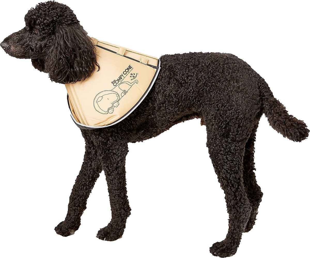 ALL FOUR PAWS Comfy Cone ECollar for Dogs & Cats, Tan, MediumExtra Long