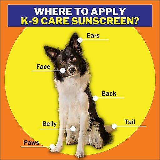 Epi-Pet Sun Protector Skin Treatment Spray, 3.5-oz bottle