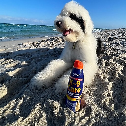 Epi-Pet Sun Protector Skin Treatment Spray, 3.5-oz bottle