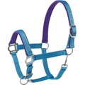 Tough-1 Nylon Padded Halter with Satin Horse Hardware, Turquoise, Yearling