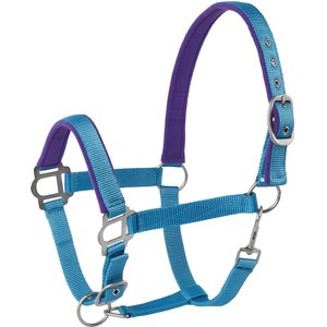 FinnTack American Quality Leather Halter with Adjustable Chin Strap -  Dutchess Bridle & Saddle, LLC